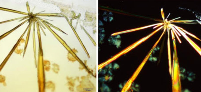 иллюстрация Евгений Линц