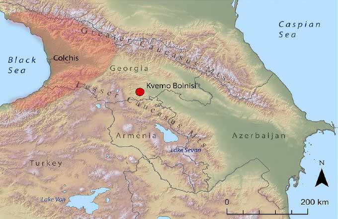 фото из переводного материала