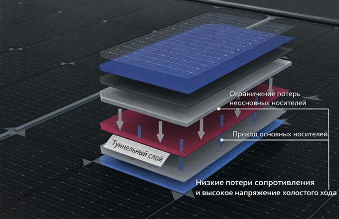 иллюстрация Евгений Линц