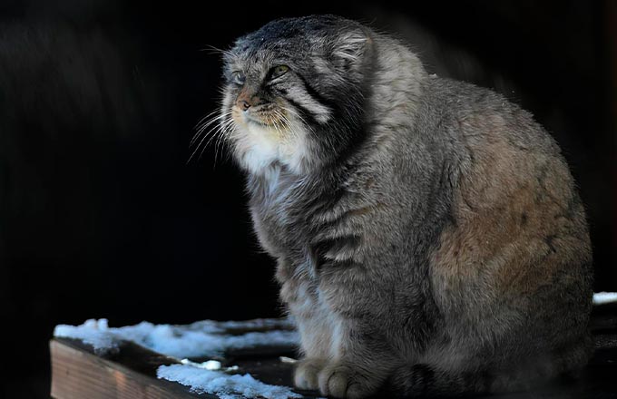 фото РИА Новости