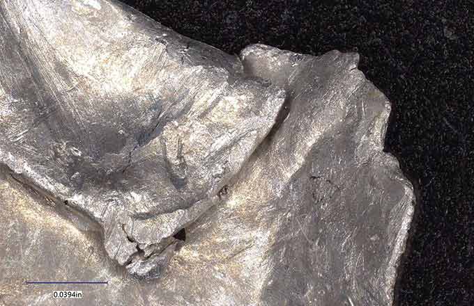 иллюстрация Евгений Линц