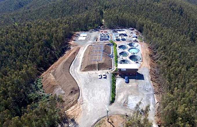 иллюстрация Евгений Линц