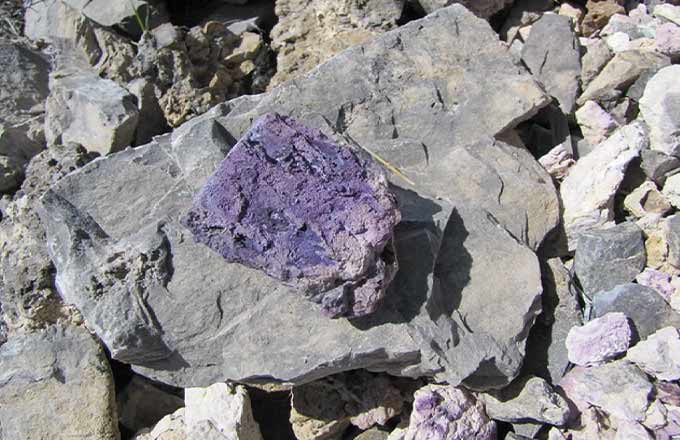 фото из открытых источников