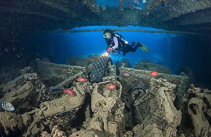 фото из открытых источников