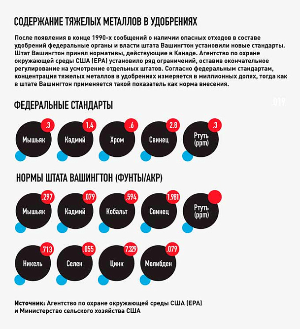 инфографика на основе переводного материала